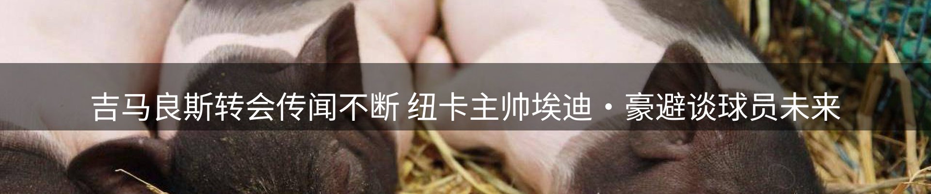 今日资讯